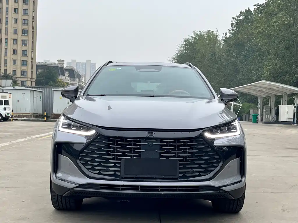 BYD Tang New Energy — миниатюра 2