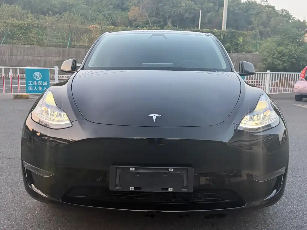Tesla Model Y — миниатюра 2