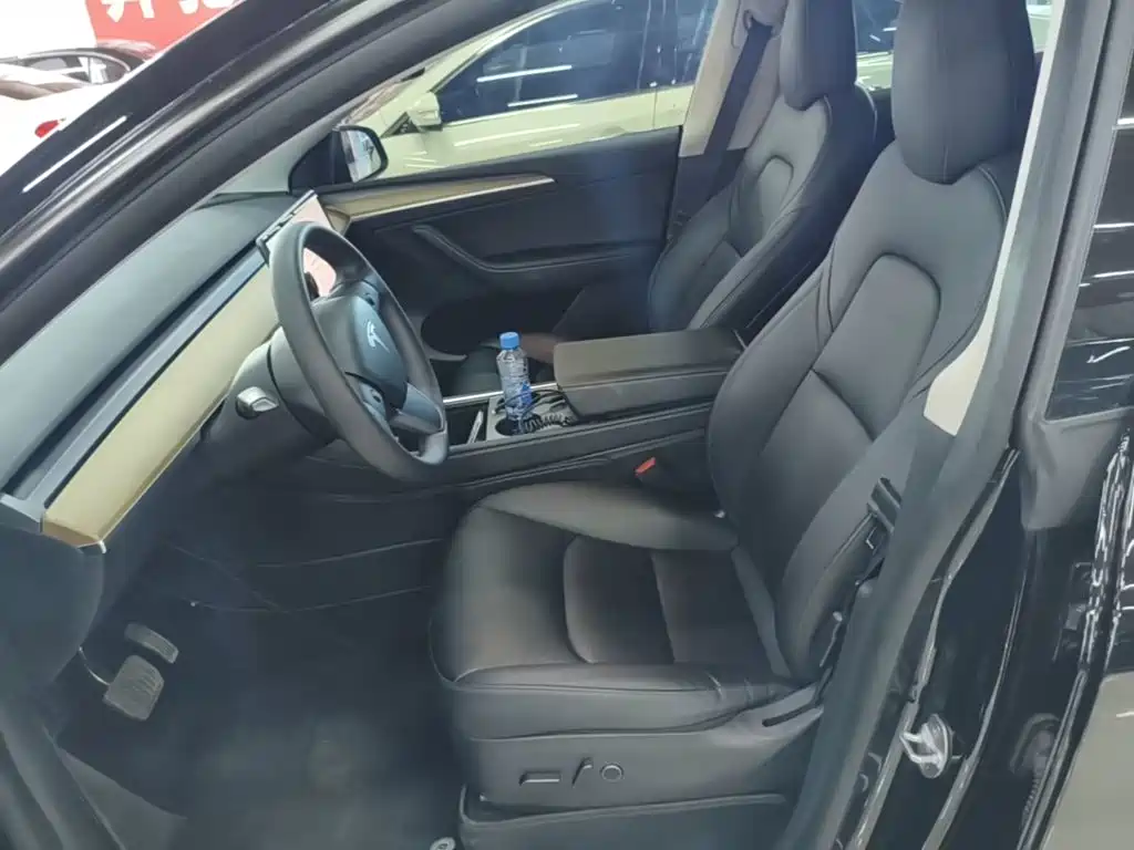 Tesla Model Y — миниатюра 15