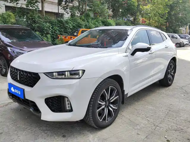 2018 Wey VV7