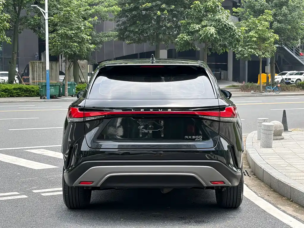 Lexus RX 2025 300