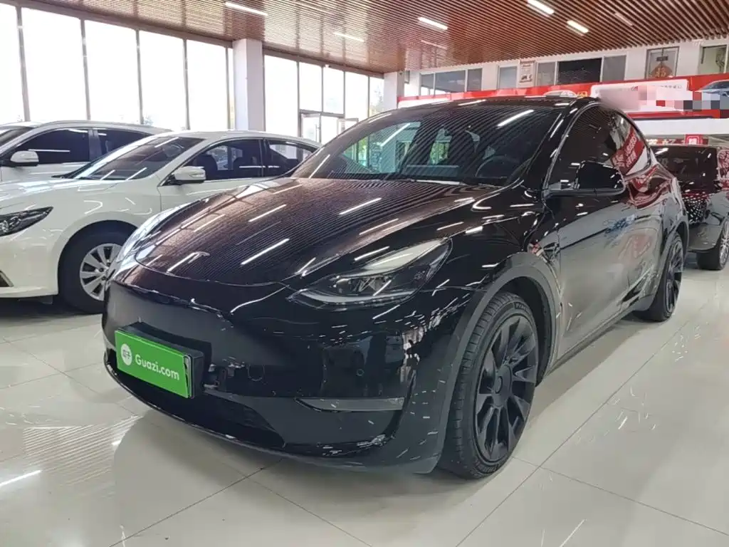 Tesla Model Y — миниатюра 2