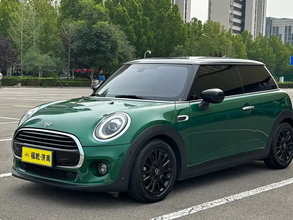 Mini Mini 2021