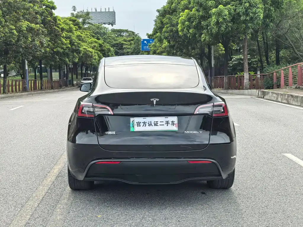 Tesla Model Y — миниатюра 17