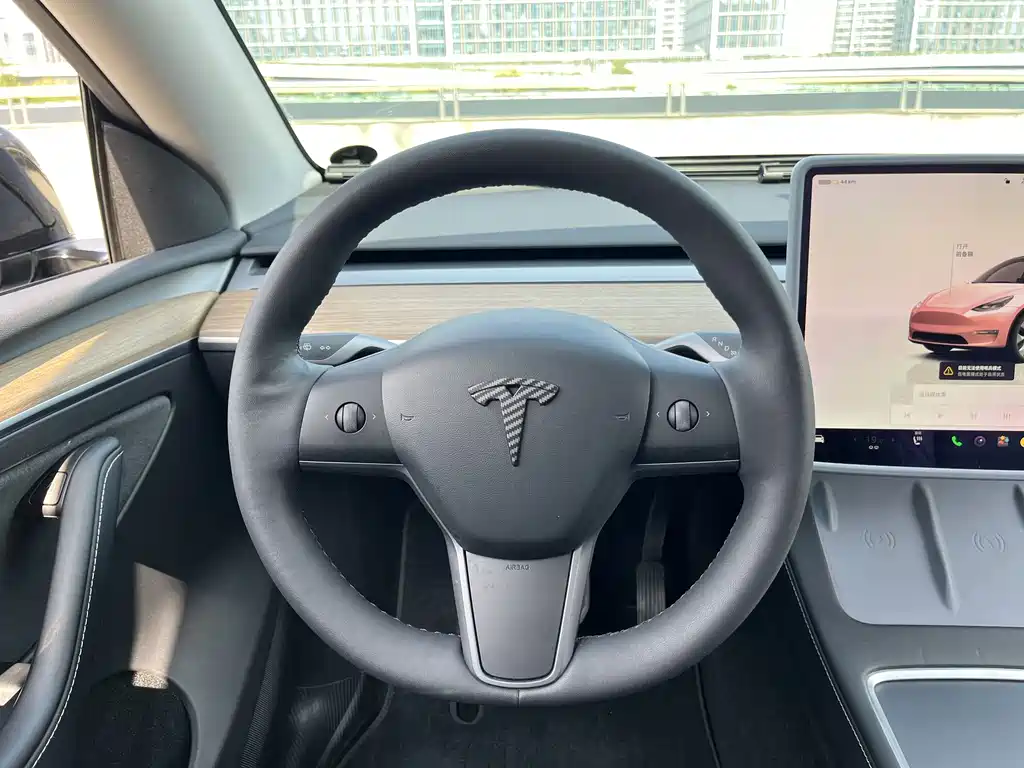Tesla Model Y — миниатюра 9