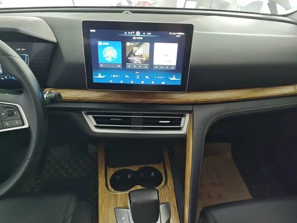 BYD Pro — миниатюра 13