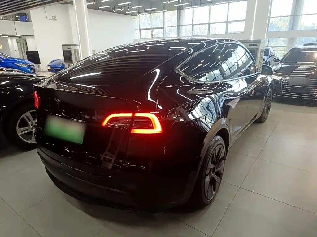 Tesla Model Y — миниатюра 7