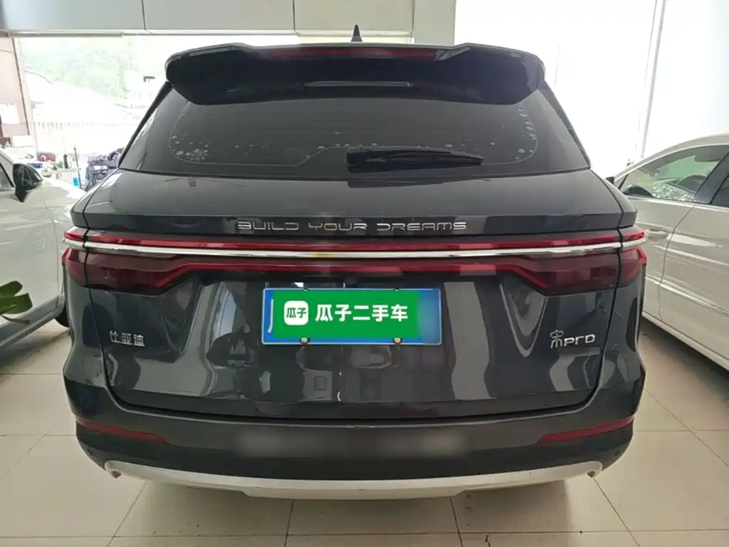BYD Pro — миниатюра 6