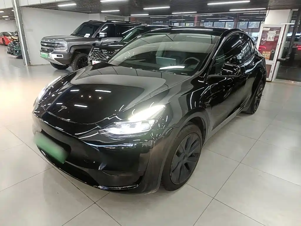 Tesla Model Y — миниатюра 2