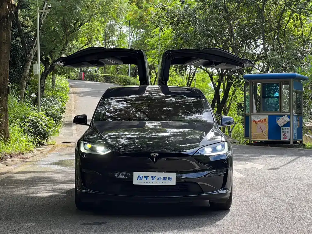 Tesla Model X — миниатюра 4