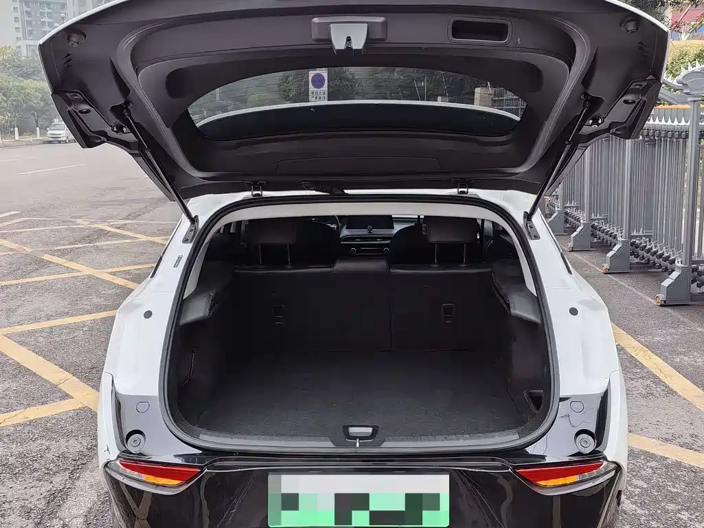 BUICK SLIGHTLY BLUE 6