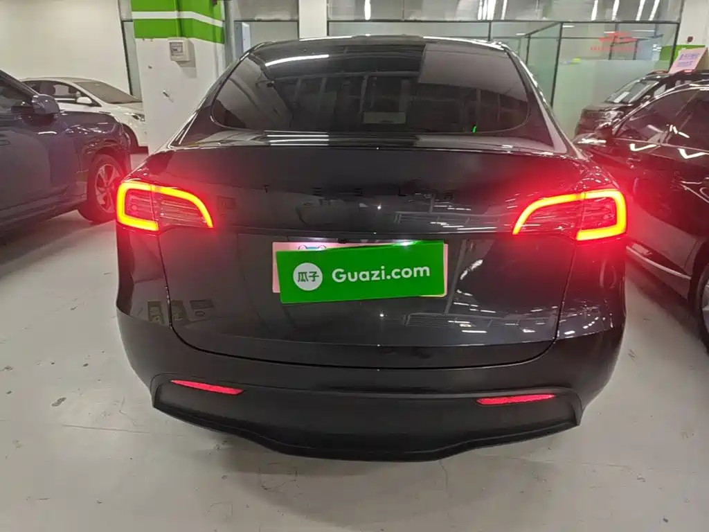 Tesla Model Y — миниатюра 6
