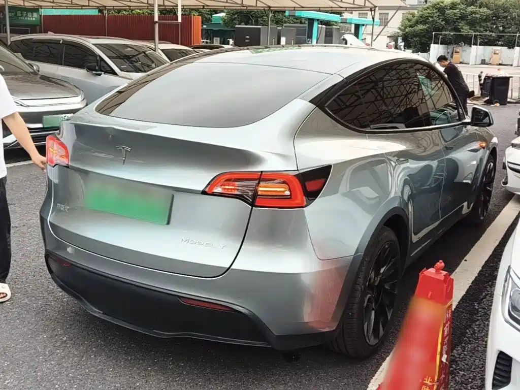 Tesla Model Y — миниатюра 7