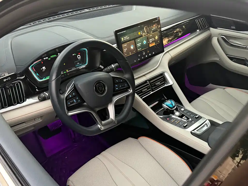 BYD PLUS New Energy — миниатюра 6