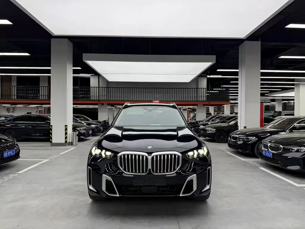 BMW X5 — миниатюра 2