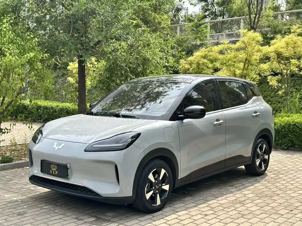 Wuling Binguo PLUS 2024 510km 5-seat Edition