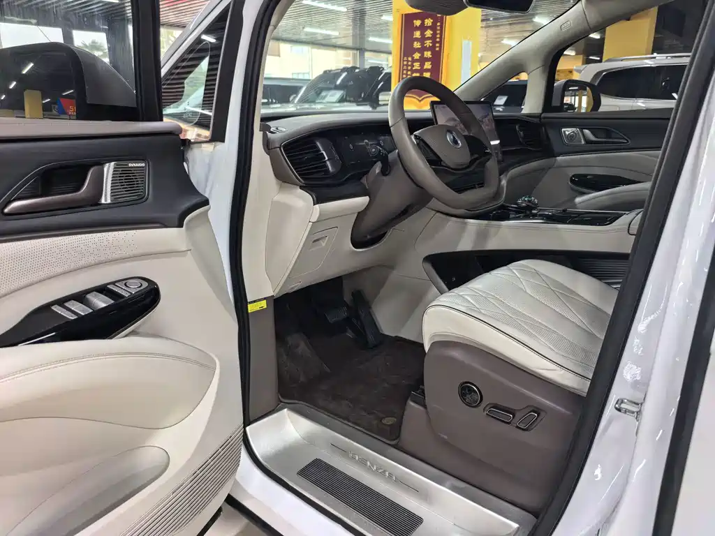 Denza Denza D9 — миниатюра 4