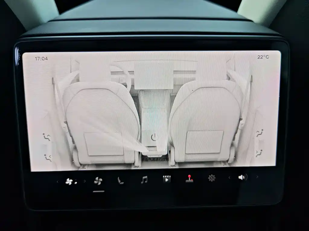Tesla Model Y — миниатюра 9