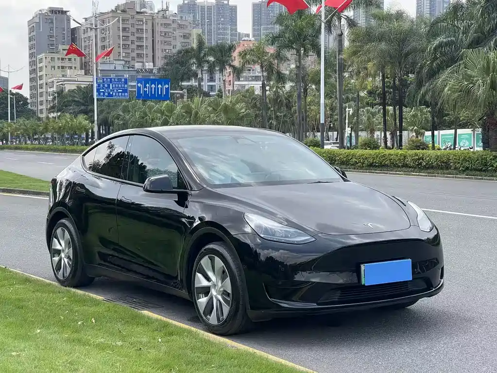 Tesla Model Y — миниатюра 3