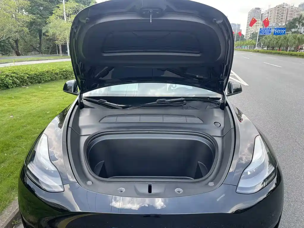 Tesla Model Y — миниатюра 9