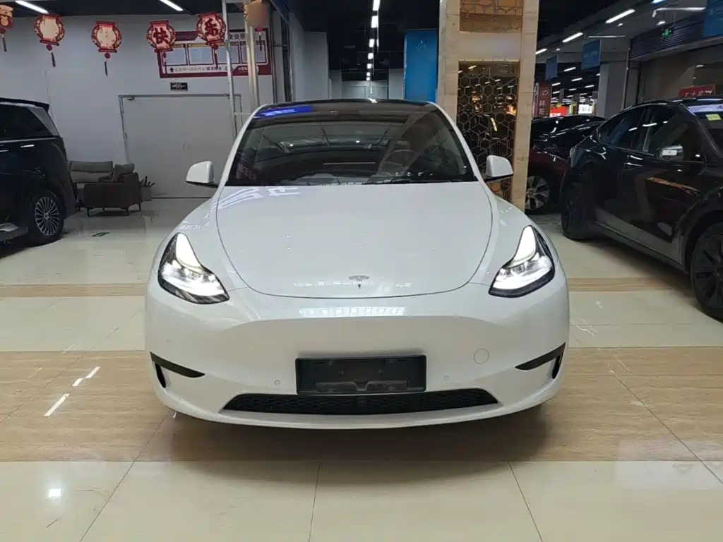 Tesla Model Y — миниатюра 3
