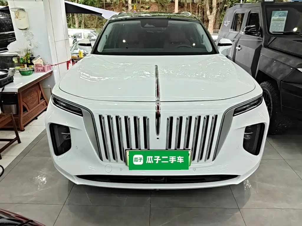 Hongqi Hongqi E-HS9 — миниатюра 3