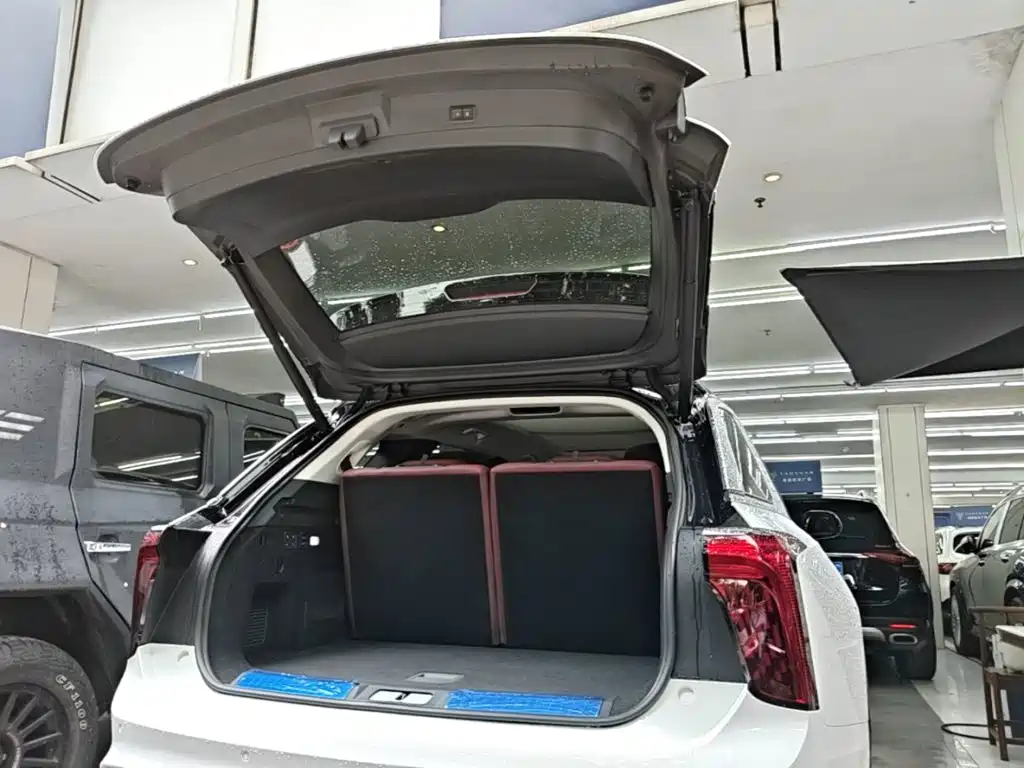Hongqi Hongqi E-HS9 — миниатюра 19