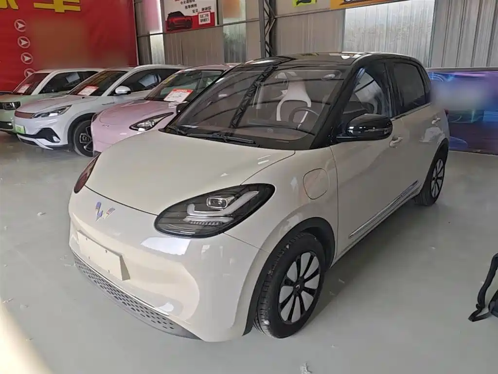 Wuling Binguo 2023 333km Delight +