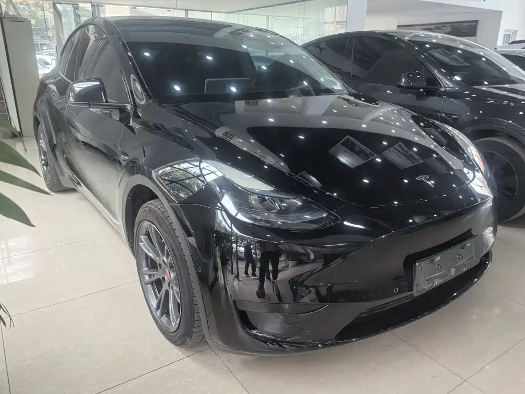 Tesla Model Y — миниатюра 2