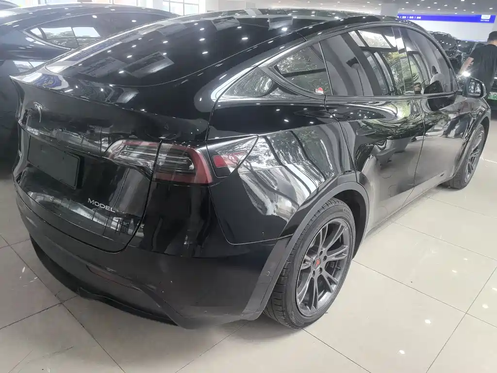 Tesla Model Y — миниатюра 6