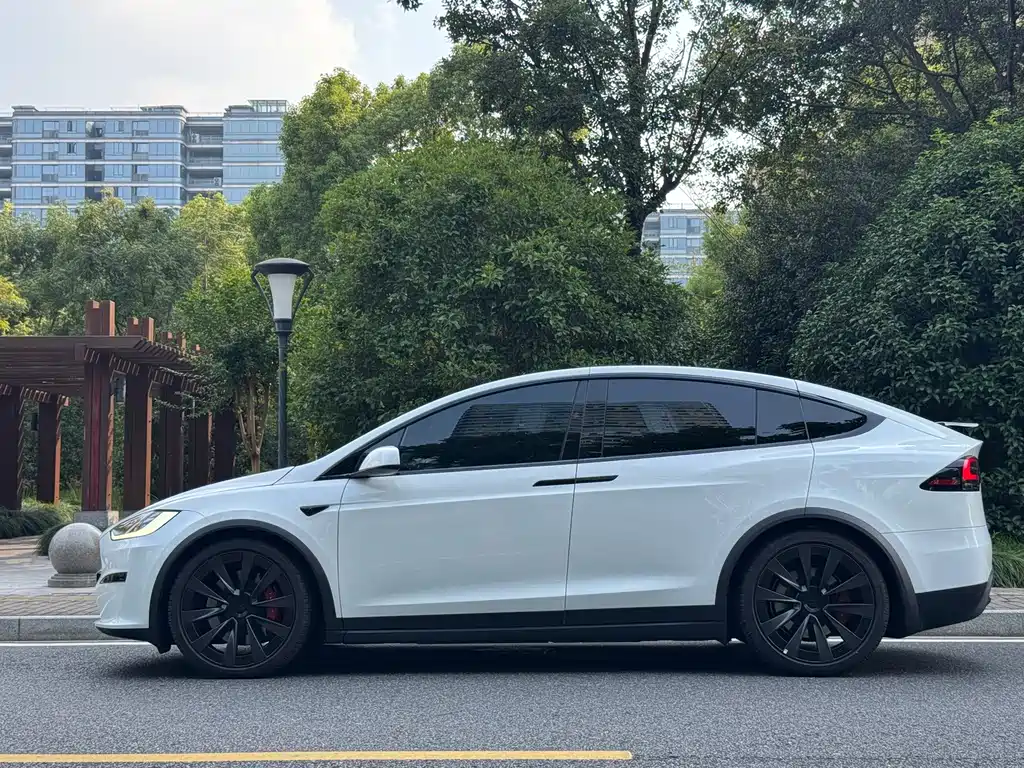 Tesla Model X — миниатюра 5