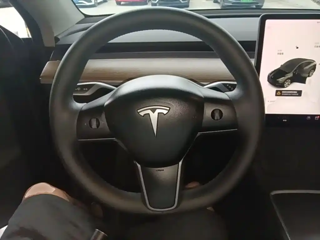 Tesla Model Y — миниатюра 11