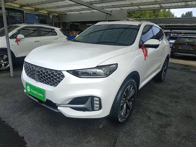 WEI PAI WEI BRAND VV6 2021