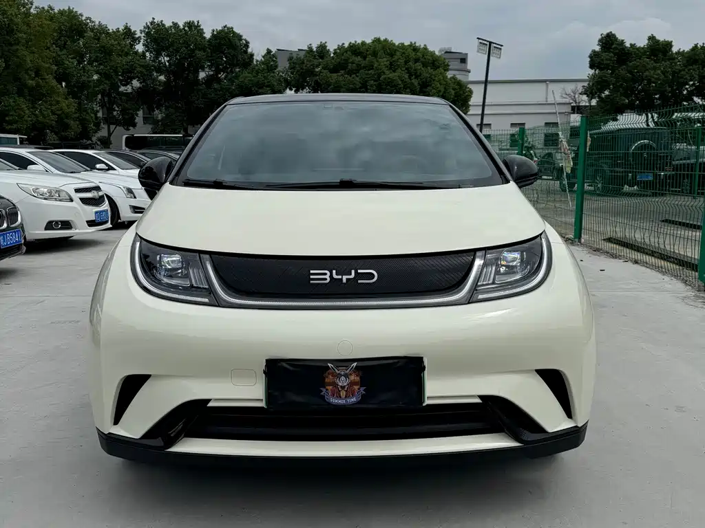 BYD Dolphin — миниатюра 2