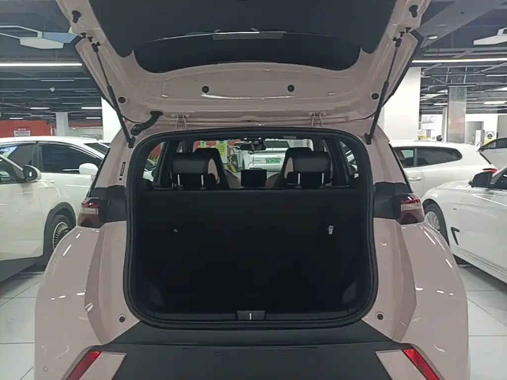 BYD Seagull — миниатюра 19