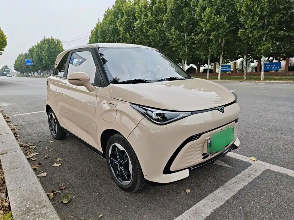 Cowin Shiyue — миниатюра 4