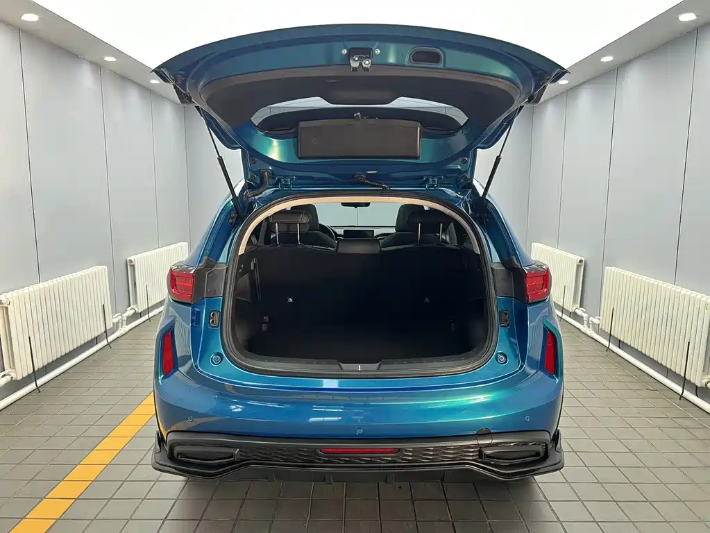 Haval Chitu — миниатюра 18