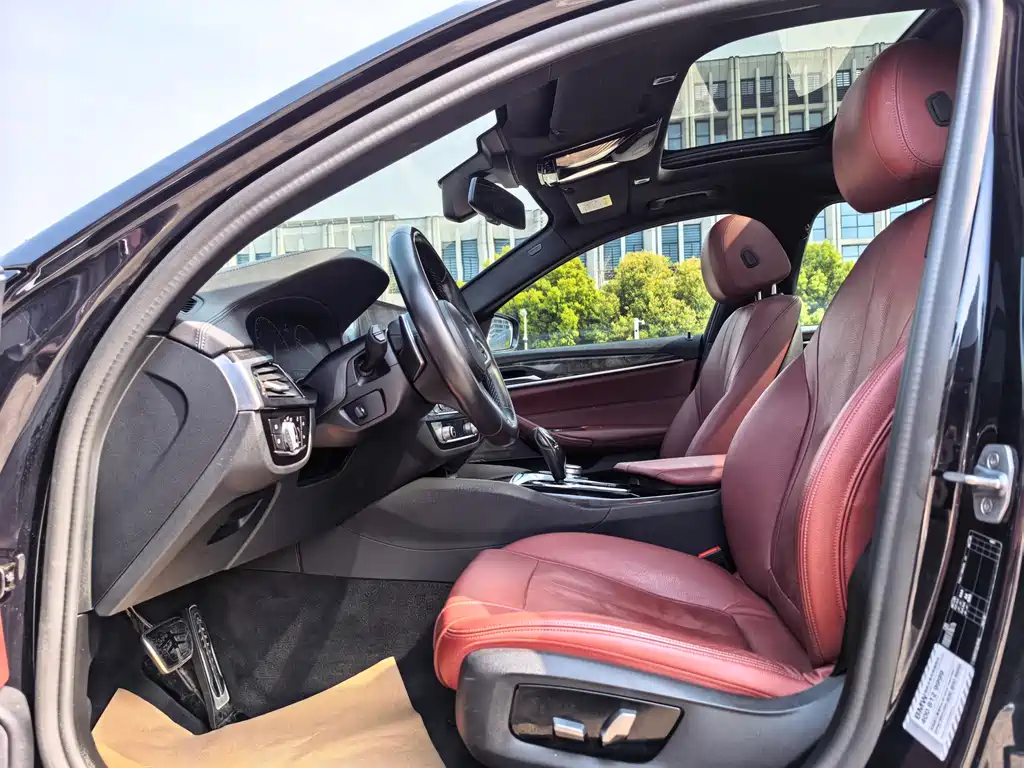 BMW 5 Series 5 2019 530Li Premium M Sport
