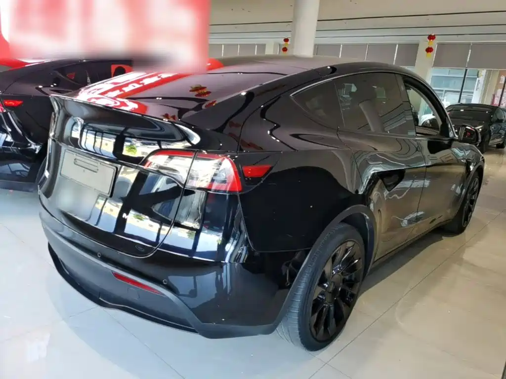 Tesla Model Y — миниатюра 7