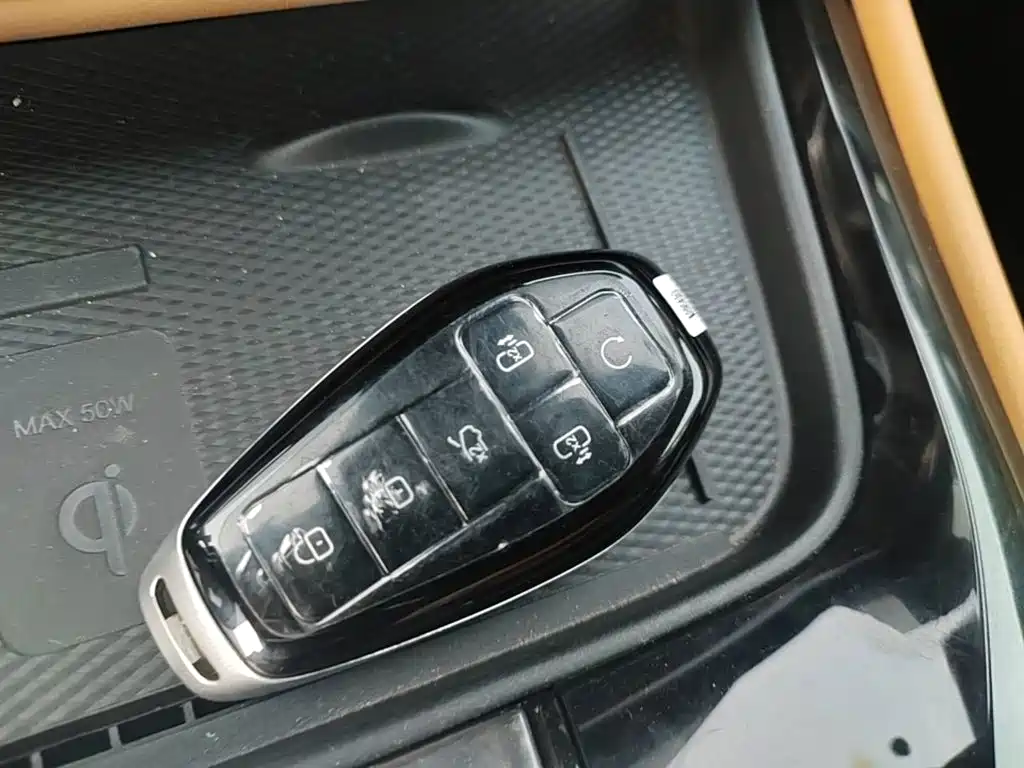 Denza Denza D9 — миниатюра 9