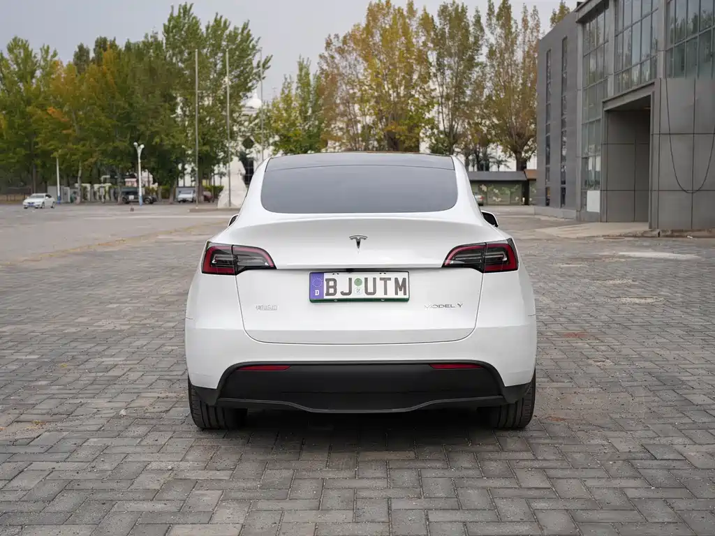 Tesla Model Y — миниатюра 6