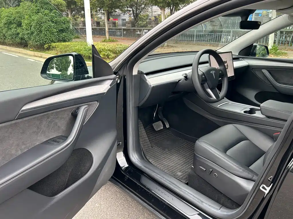 Tesla Model Y — миниатюра 4