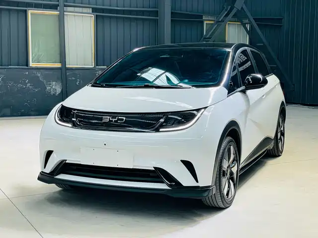 BYD Dolphin