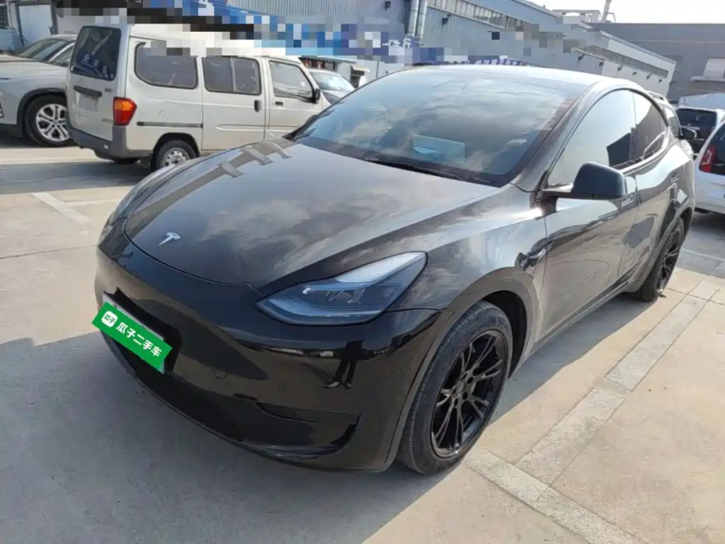 Tesla Model Y — миниатюра 2