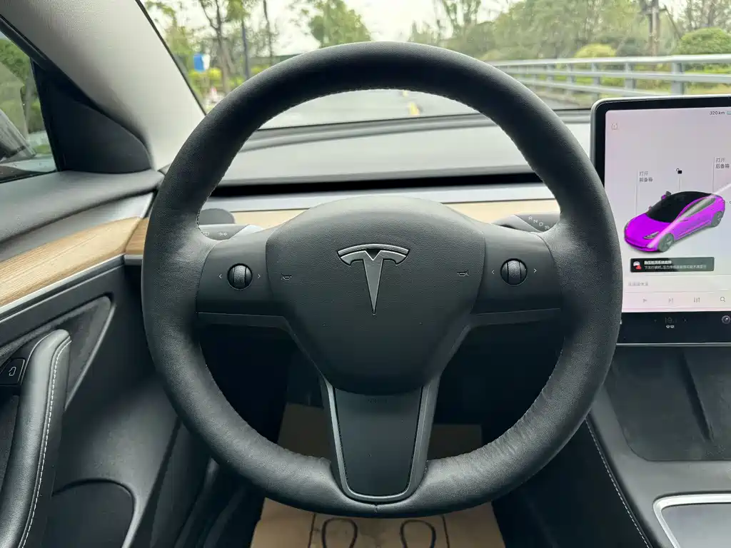 Tesla Model 3 — миниатюра 17