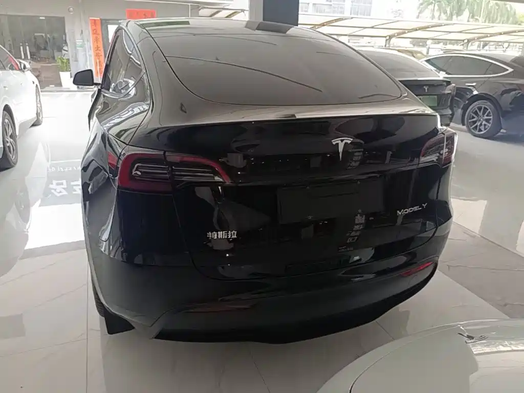 Tesla Model Y — миниатюра 6