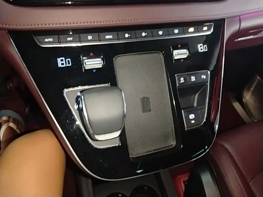 Hongqi Hongqi HQ9 — миниатюра 14