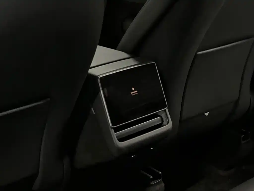 Tesla Model Y — миниатюра 24