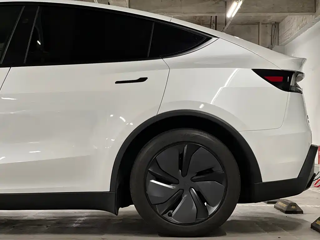 Tesla Model Y — миниатюра 33