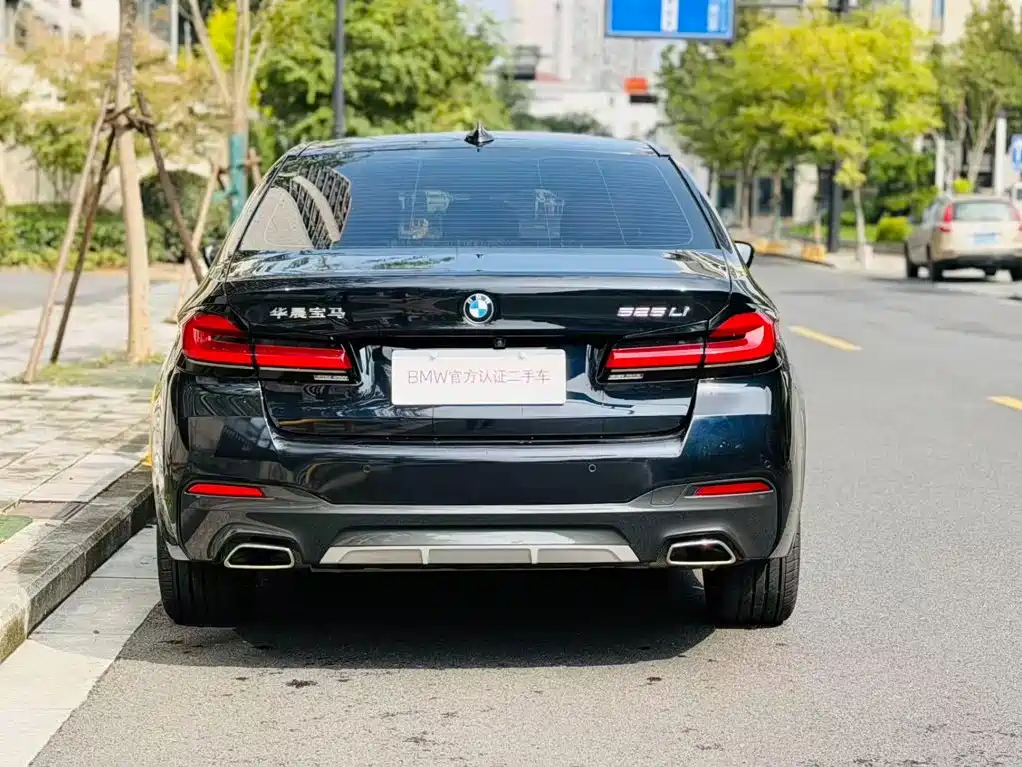 BMW 5 Series — миниатюра 5